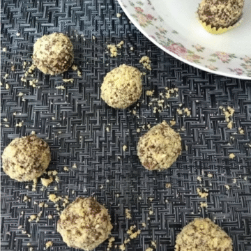 Vegan Chocolate Peanut Butter Candy Bites