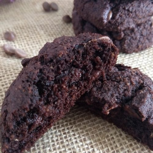 Chocolate Coconut Flour Cookies (Gluten Free)