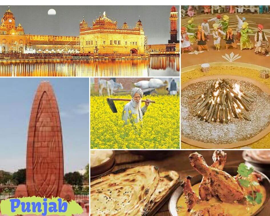 Punjab Collage