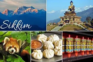 Sikkim Collage