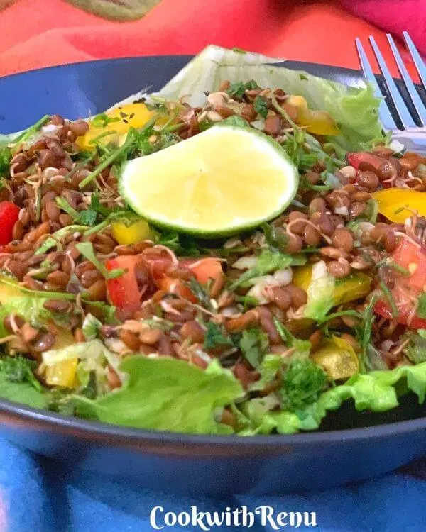 Sprouted Horse gram (Kulith) Salad along with veggies is a nutritious Iron, protein and calcium rich filling salad that can be served as a main meal.