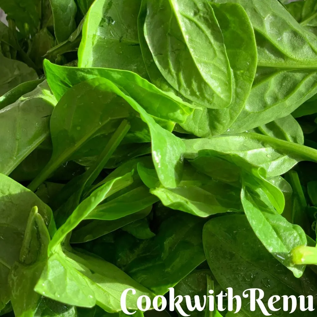 Spinach, Iron and Protein Rich Veggie