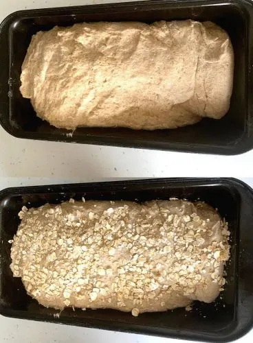 The dough shaped in a loaf ready to be fermented and set in the loaf tin.