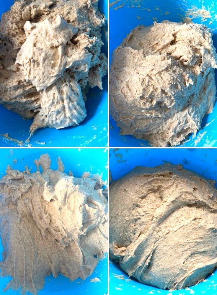 Bulk Fermentation of the dough