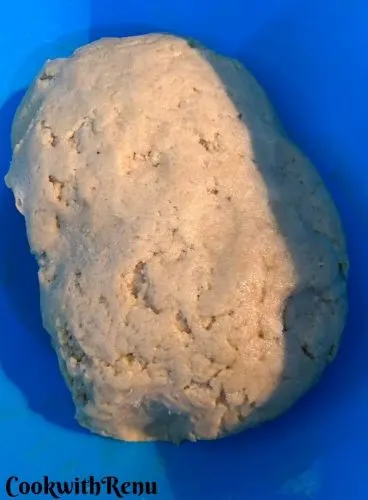 The kneaded dough