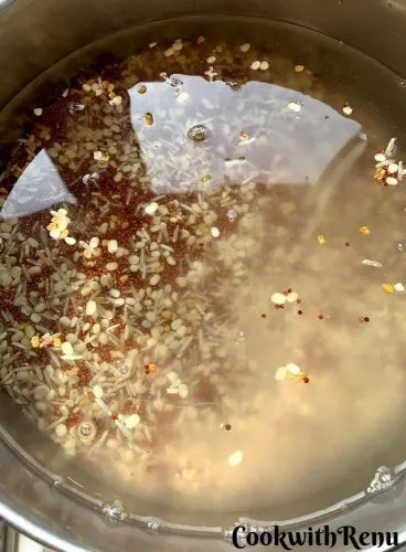 Ragi seeds, Rice, Urad Dal and Fenugreek Seeds soaked in water
