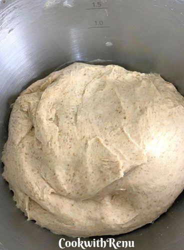 The mixed and kneaded dough