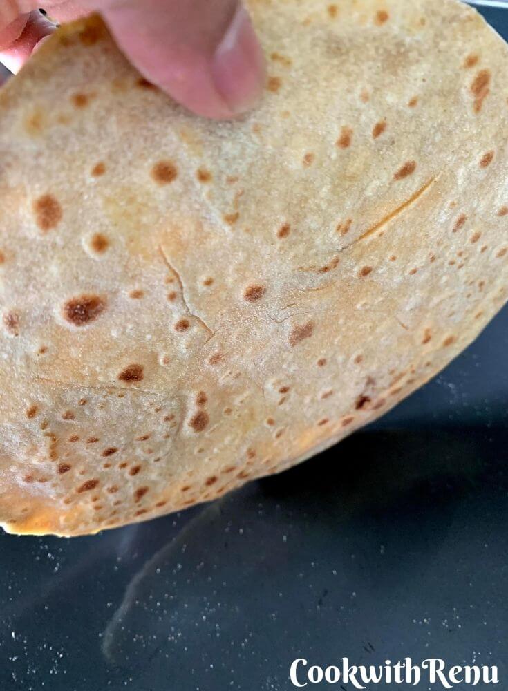 Bottom side of the poli with brown spots