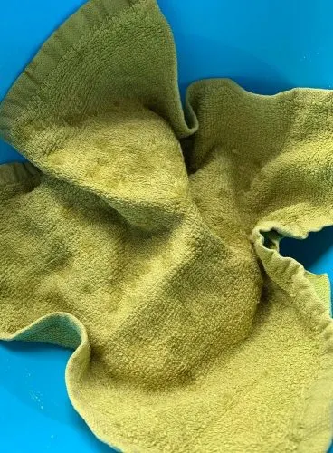 Dough Covered with a cloth