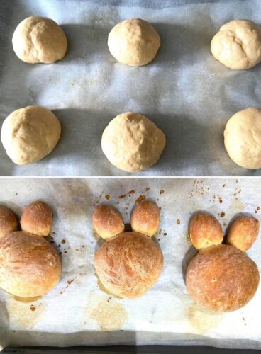 Shaping of the buns