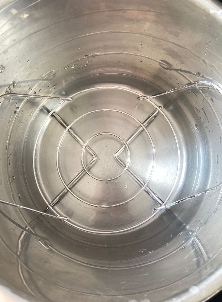 Trivet Inserted in Instant Pot