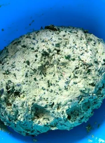 Kale paratha Dough just kneaded, and is rested