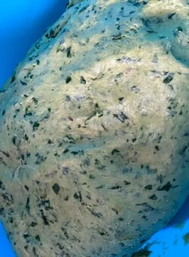 Kale paratha Dough ready to be rolled and cooked