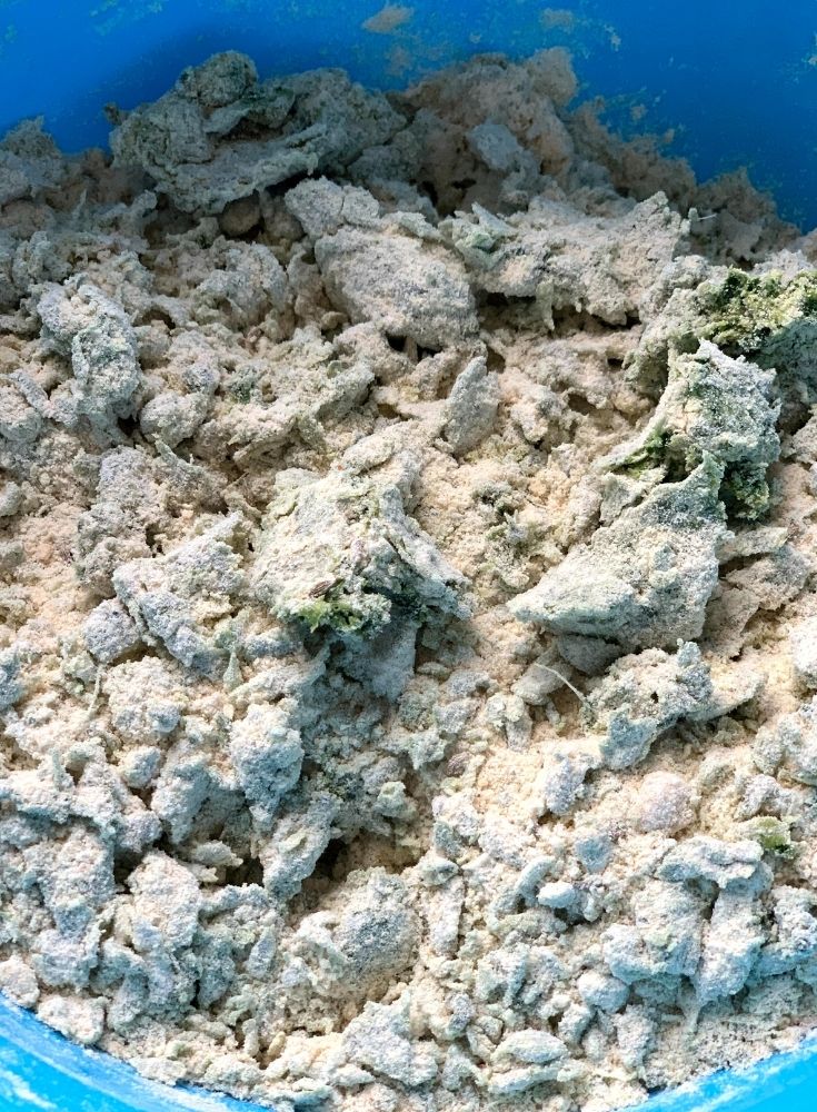 Mixed dough and kale and spice mix