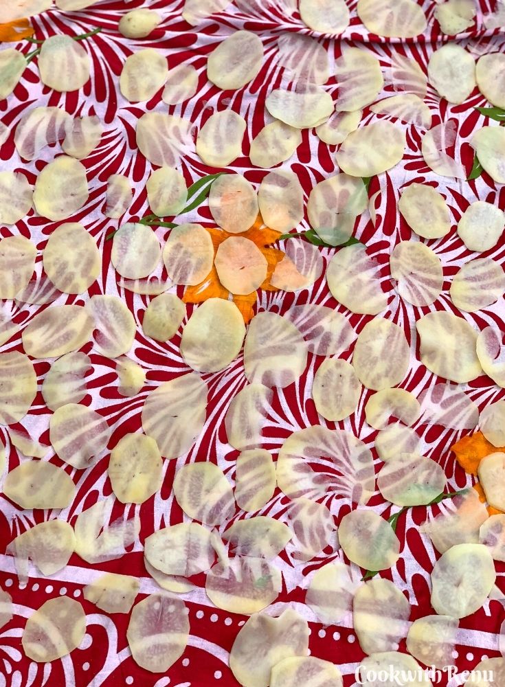 Sun Drying of Potato Slices