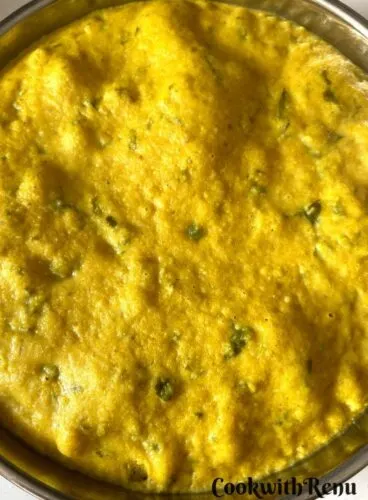 Steamed Dhokla