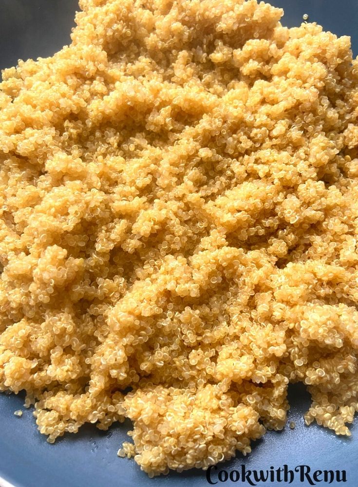 Cooked Quinoa
