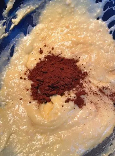 Chocolate Powder added to mawa