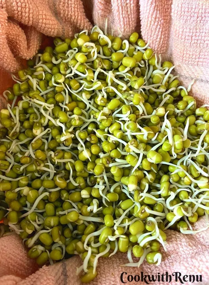 Sprouted Moong Beans