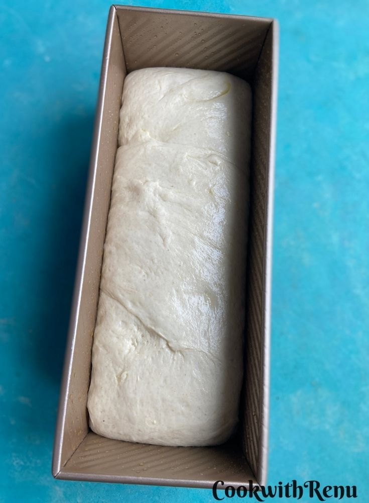 Bread ready to be proved