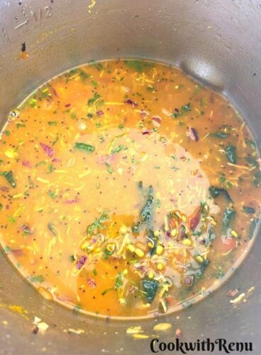 Adding of water and moong beans in masala