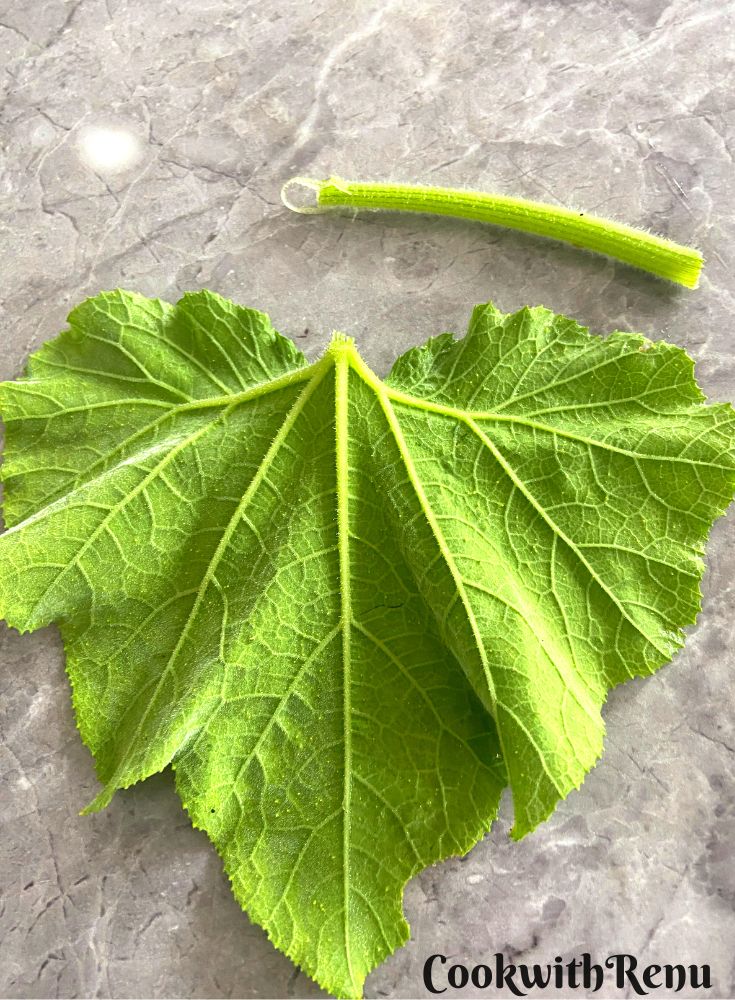 The hard stem of the leaf has been cut off.