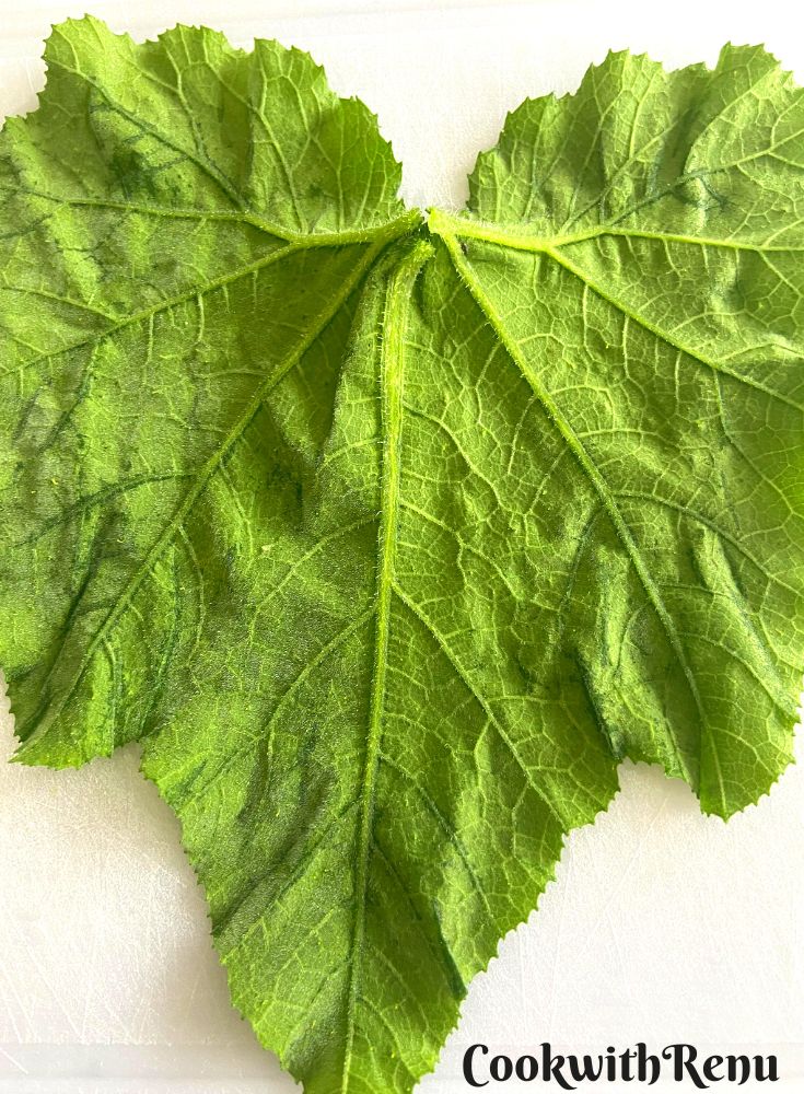 Flattened Squash Leaves.