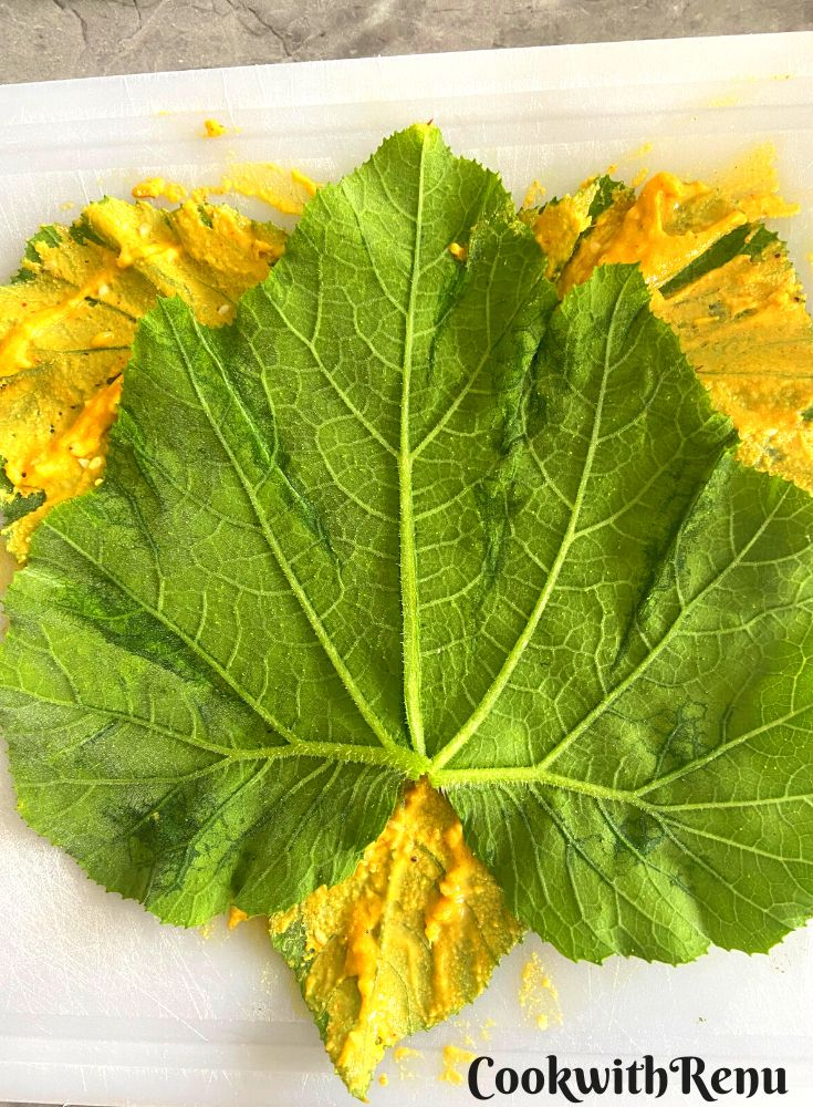 Second squash leaf kept upside down.