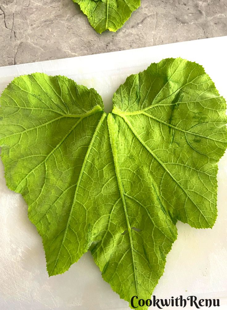 Squash Leaves ready to be flattened.