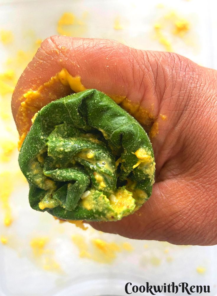 The inside look of the the log or roll for vadi.