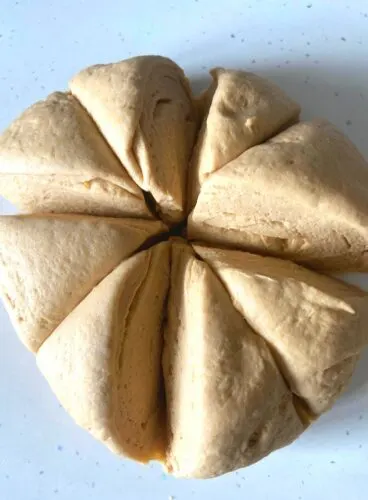 Dough divided into equal portions