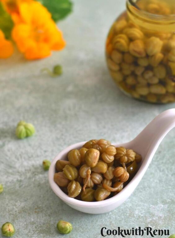 Pickled Nasturtium Seeds (Nasturtium Capers) Cook With Renu
