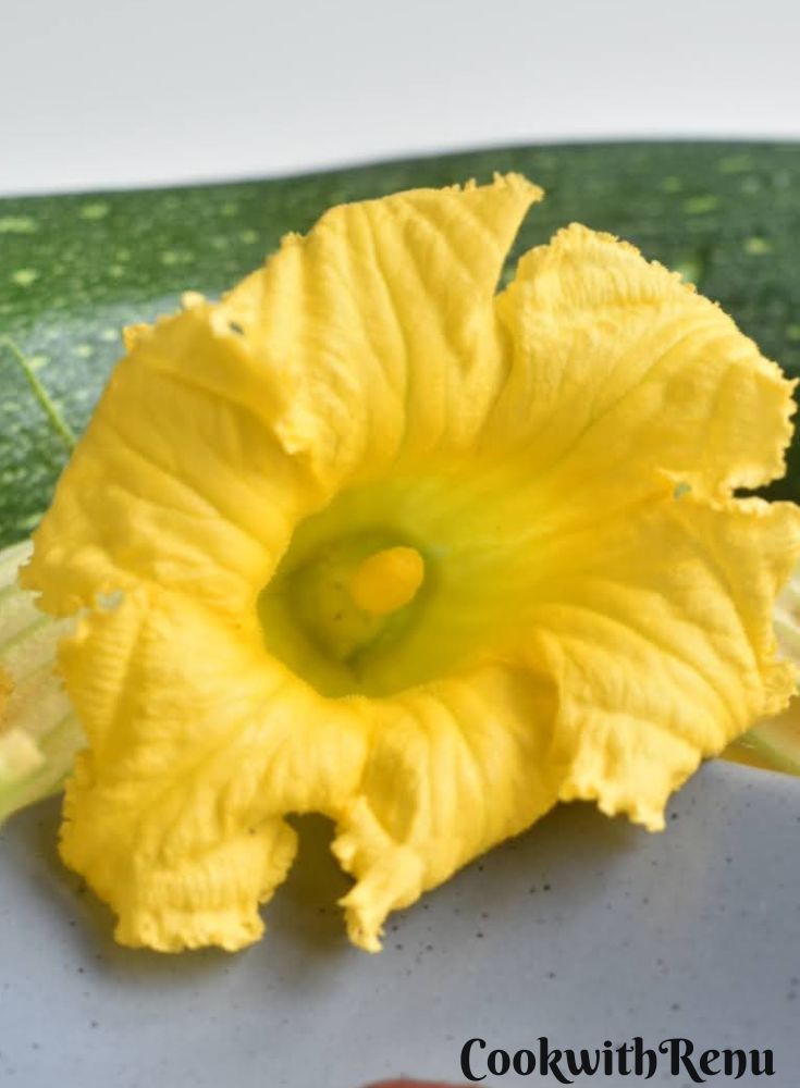 Full bloom squash blossom seen in the pic.