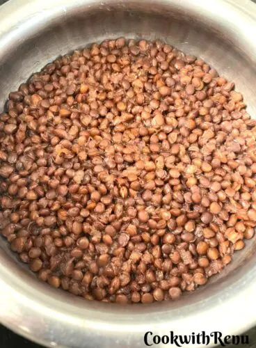 Cooked Brown lentils in a steel vessel.