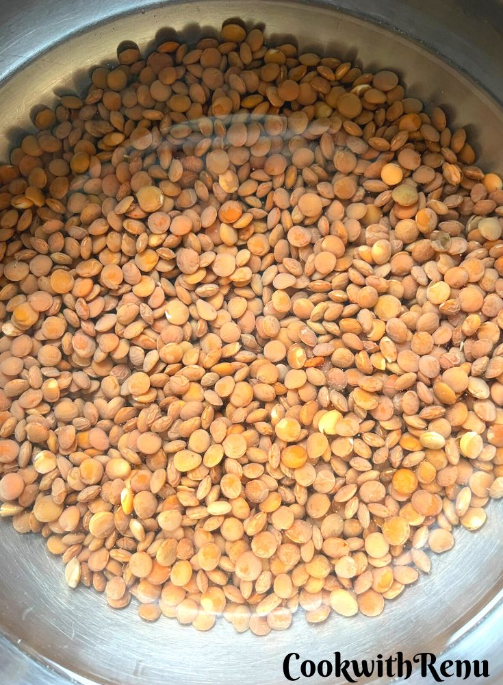 Soaked Brown Lentils