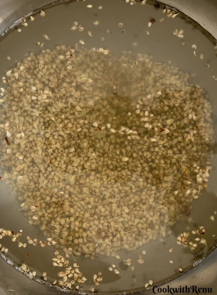 Soaked and Sprouted Pearl Millet along with water n a bowl.