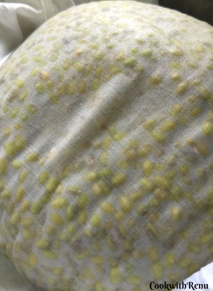 Soaked Mung Beans tied in a white muslin cloth for making sprouts.
