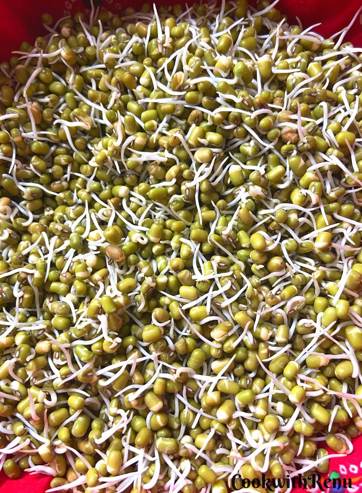 Sprouted Mung Beans in a red cloth.