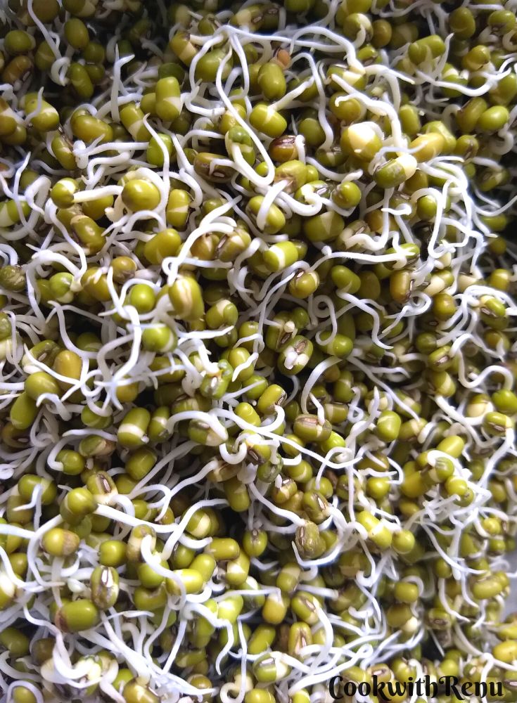 Sprouted Mung Beans close up view.
