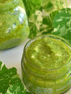 Close up view of Nasturtium pesto in a glass bottle with some nasturtium leaves and stalks.