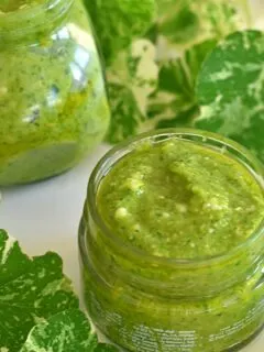 Close up view of Nasturtium pesto in a glass bottle with some nasturtium leaves and stalks.