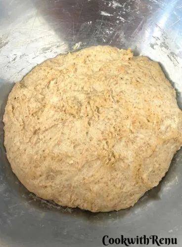 Whole Wheat dough rested in a bowl.