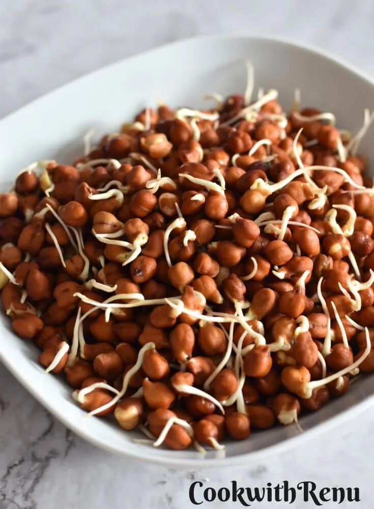Black Chana Sprouts in a white bowl.