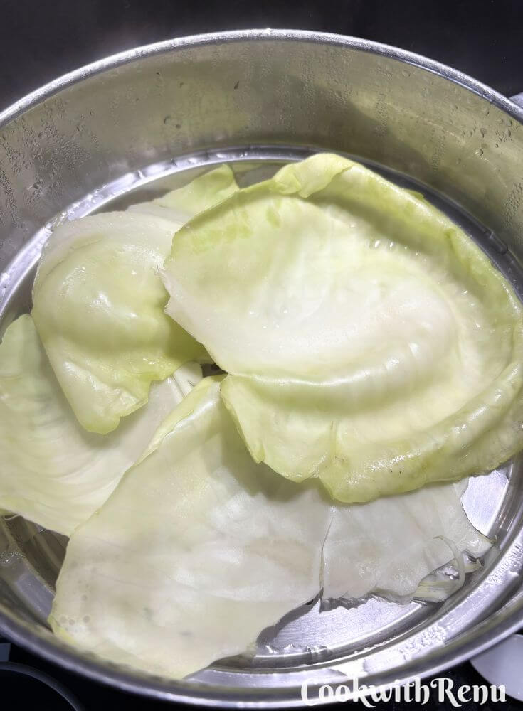 Momos Steamer Ready with lined Cabbage Leaves in a steamer.