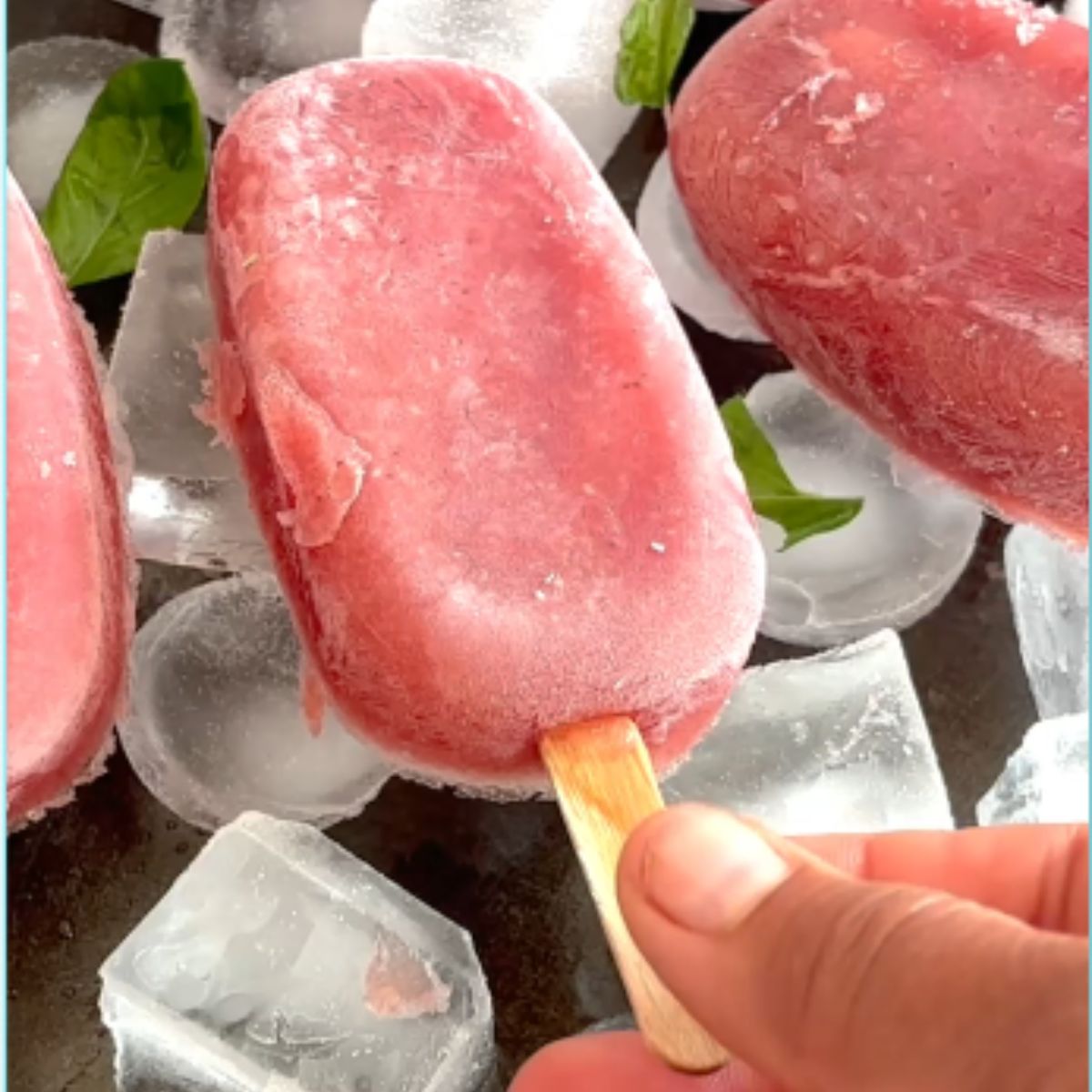 Watermelon Pomegranate Basil Juice and Popsicles