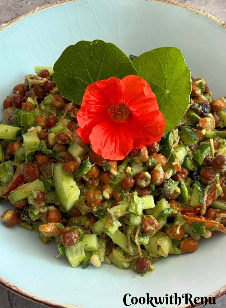 Sprouted Black Chana Salad With Nasturtium Yogurt Dressing, served in a sky-coloured bowl with golden lining and a garnish of nasturtium leaves and flowers. Seen in the background are some nasturtium leaves and flowers.